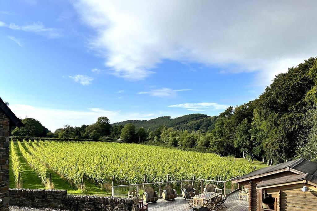 Vineyard Country Cottage Llanerch-Aeron Exterior photo